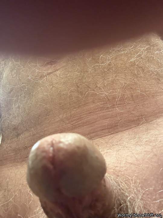 Photo of a thing from Wormy