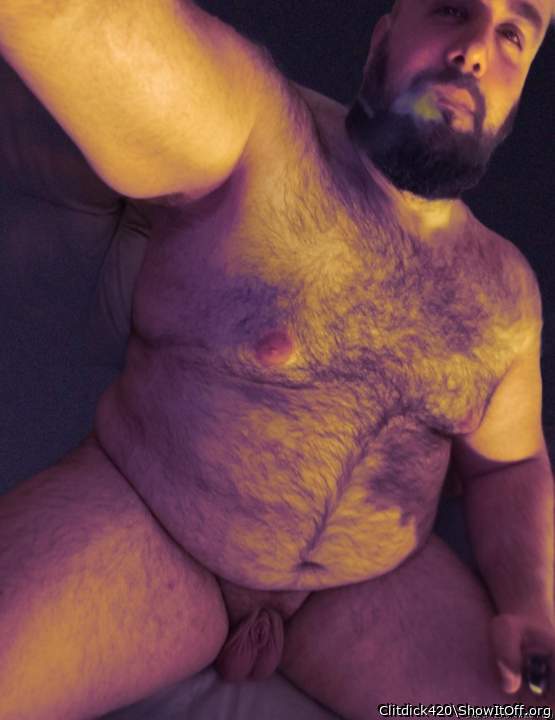 Cute dickless teddy bear