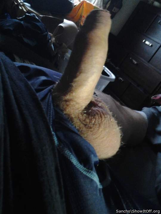 Photo of a rooster from Sancho