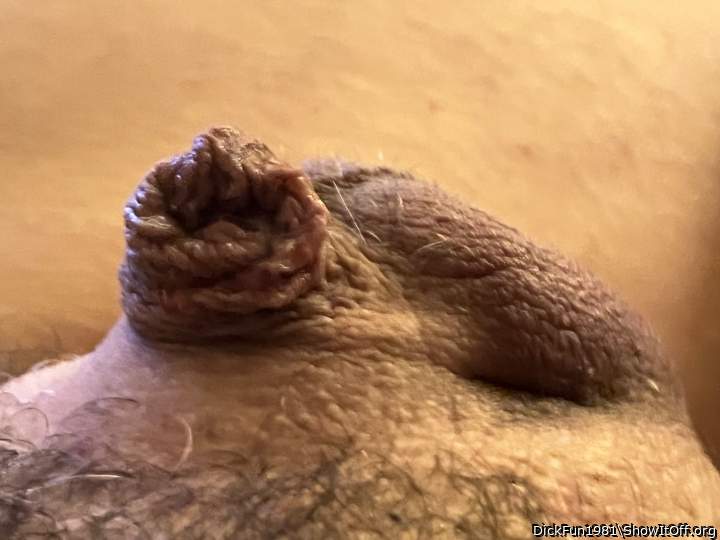 Photo of a thing from DickFun1981