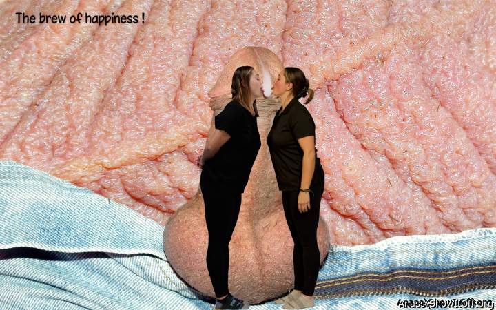 Photo of a equipment from Anass