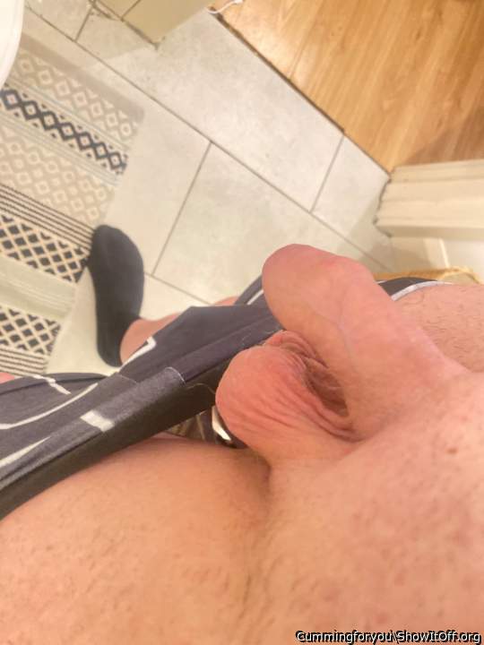 Photo of a weasel from Cummingforyou