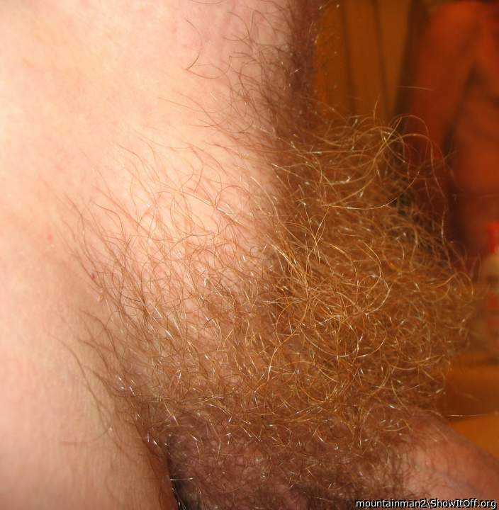 Ginger Pubic hair