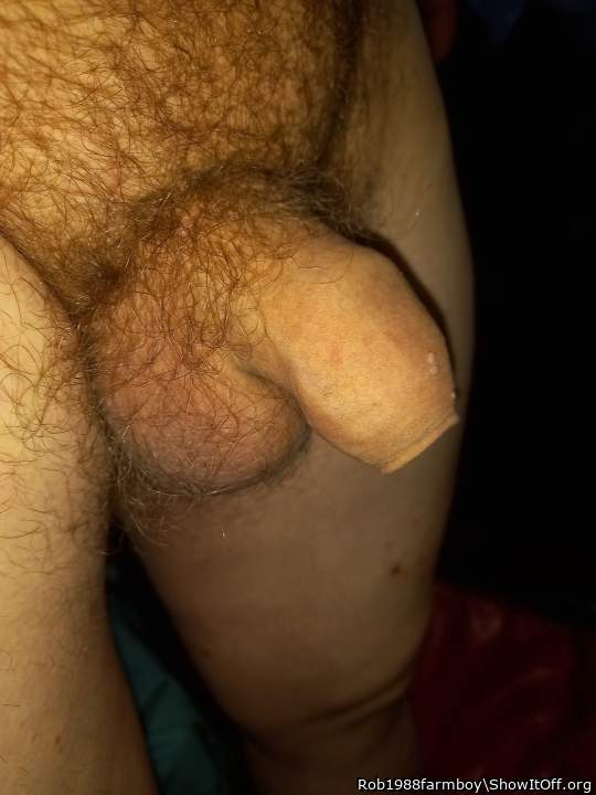 Photo of a dong from Rob1988farmboy