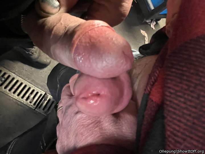 Photo of a pecker from Ollepung