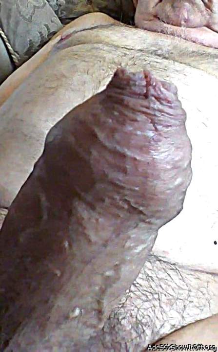 Photo of a third leg from Ade59
