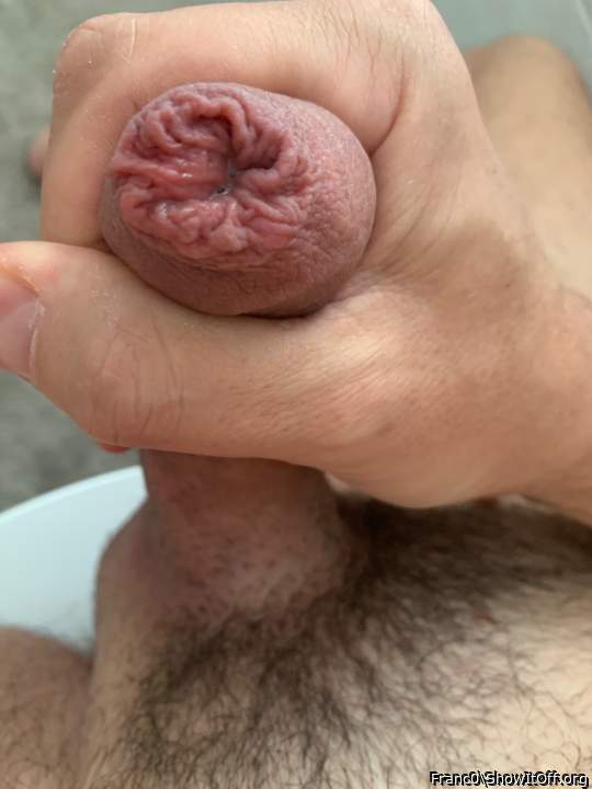Photo of a hot dog from Franc0