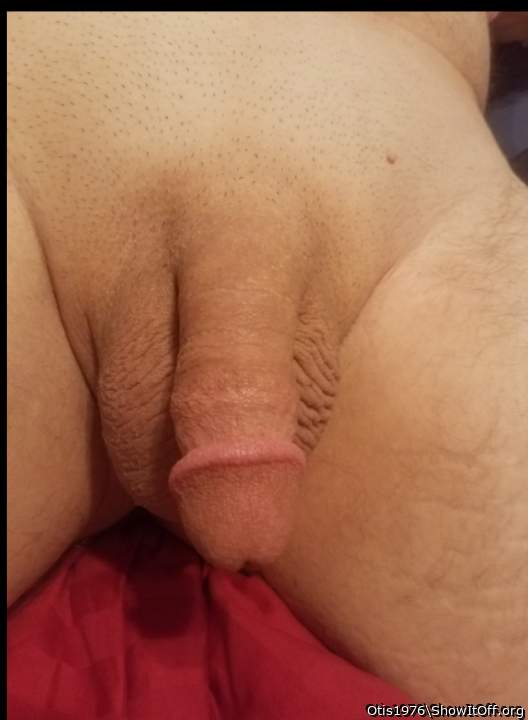 Beautiful cut cock !