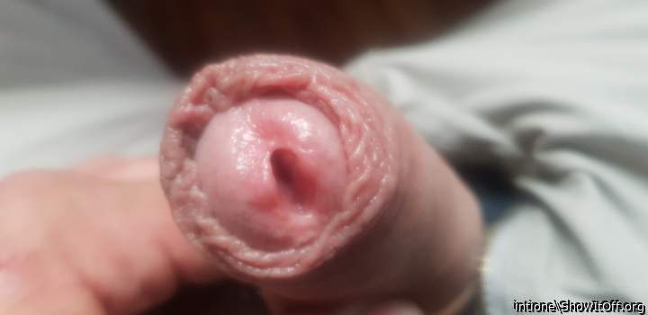 Awesome uncut dick, hot cozy foreskin wrapped round your glo