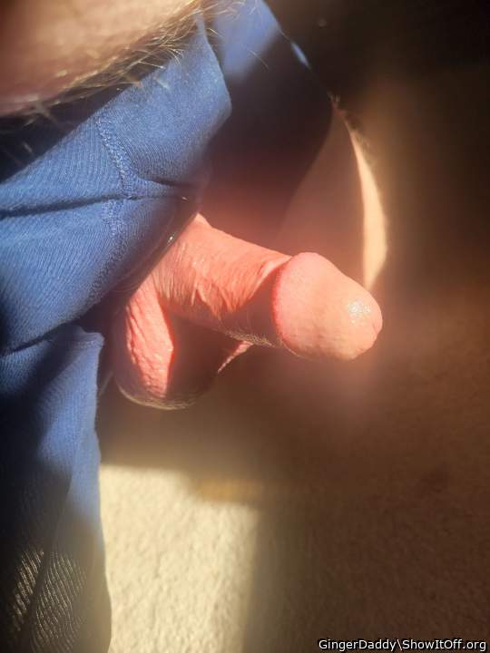 Photo of a stiffie from GingerDaddy