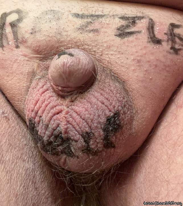 Photo of a wiener from Arinn