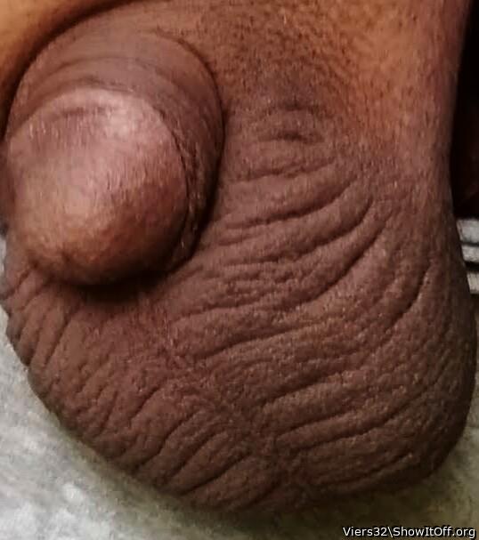 Soft dick and shaved ball sac close-up