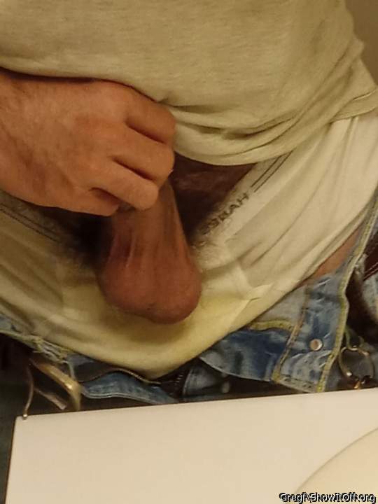 Photo of a python from Gregf