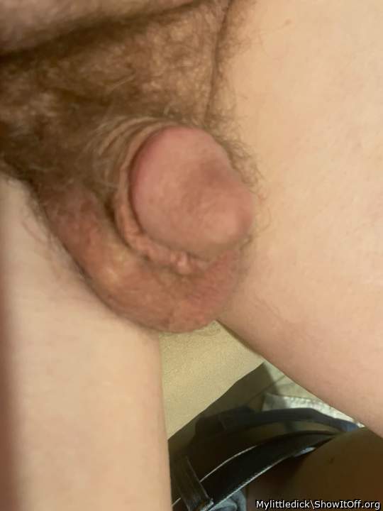 My little dick