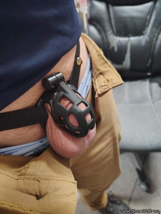 Testicles Photo from ridist