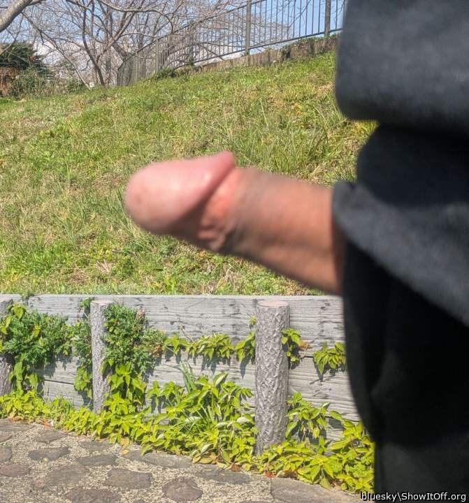 Photo of a phallus from bluesky