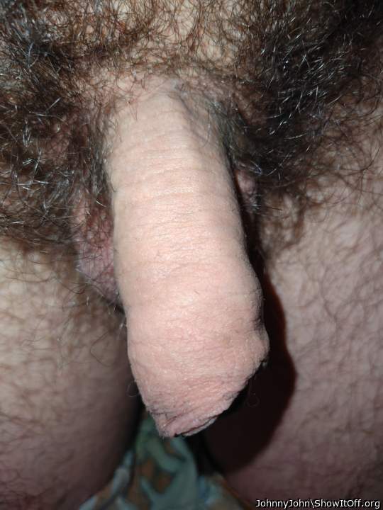 Photo of a cock from JohnnyJohn