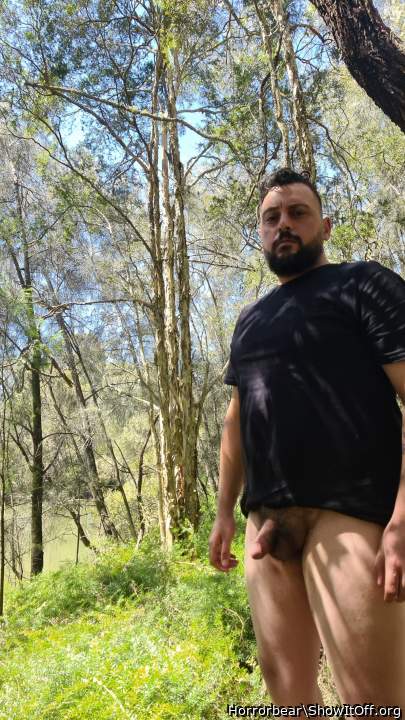 Photo of a python from Horrorbear