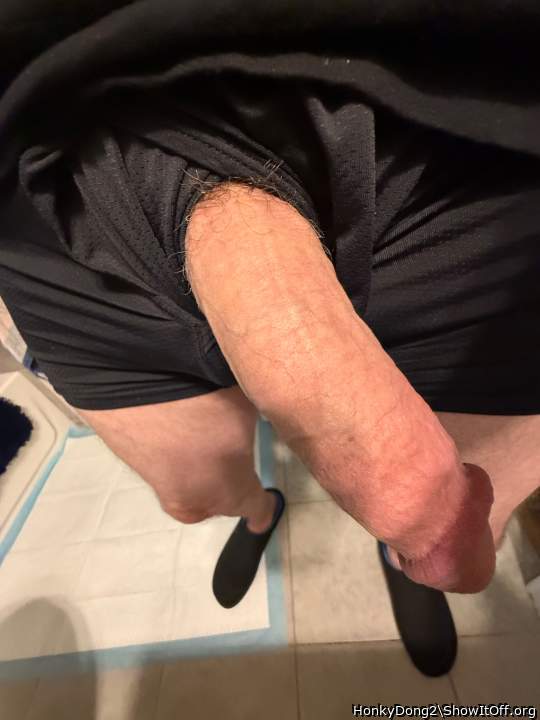 Photo of a horn from HonkyDong2