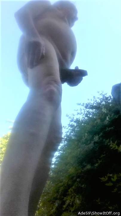 Photo of a lizard from Ade59