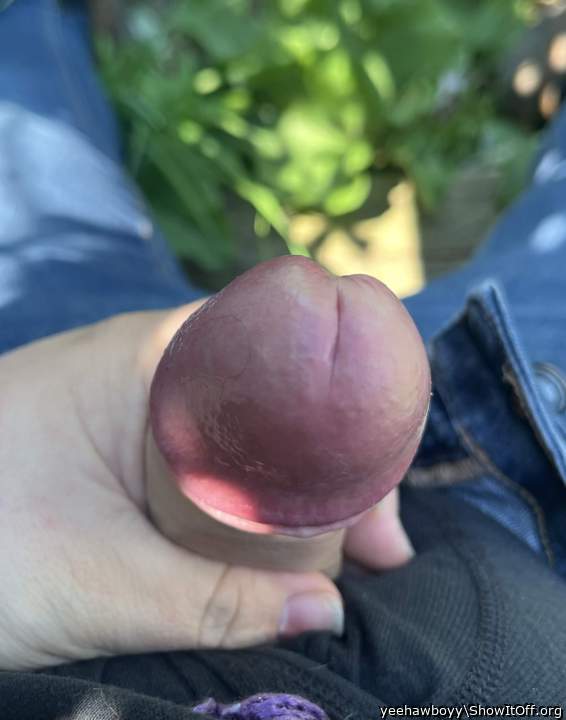 Photo of a cock from yeehawboyy