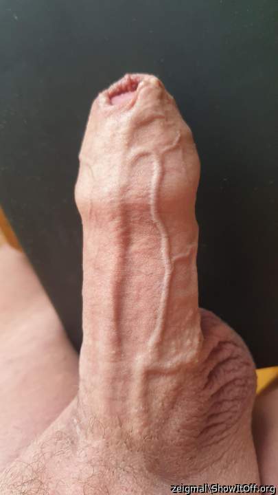 geiler Schwanz 