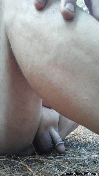 Photo of a penis from santa