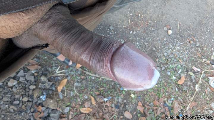 Photo of a bald-headed mouse from Kanuking