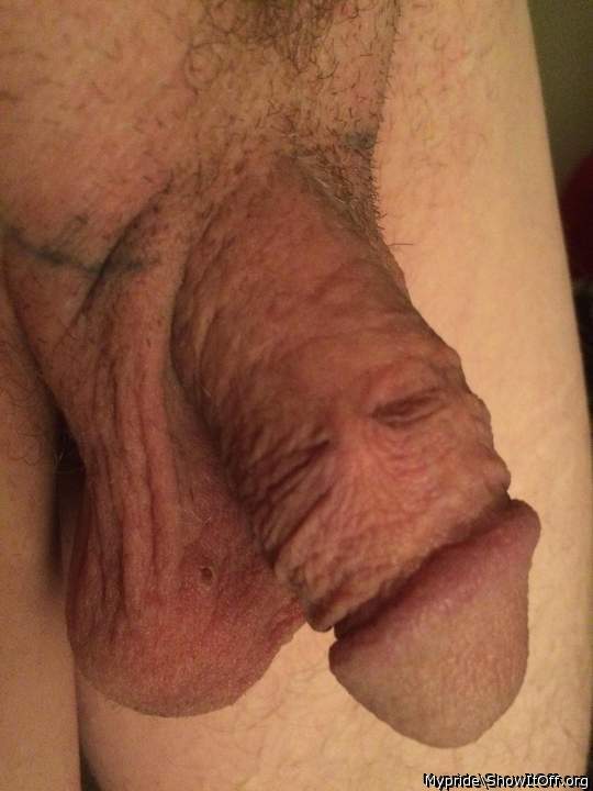 Photo of a middle leg from Mypride