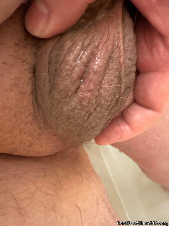 Testicles Photo from ChrisFree