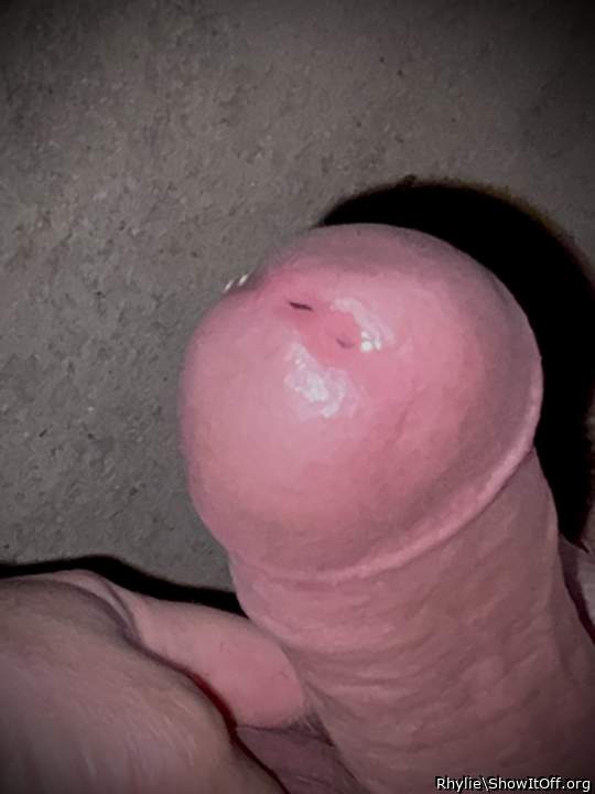 Photo of a wiener from Rhylie