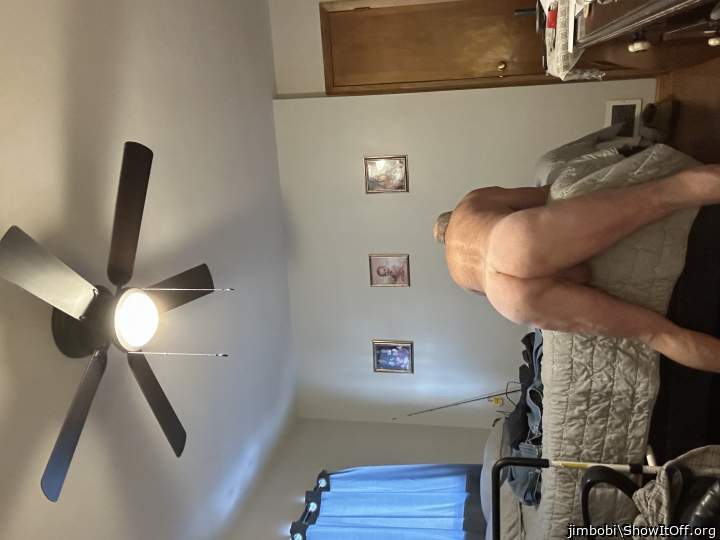 Photo of a penile from jimbobi