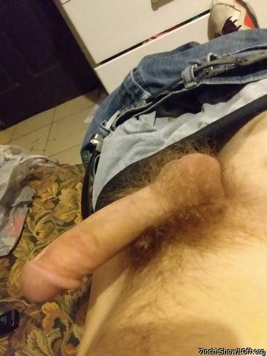 Photo of a middle leg from 7inch