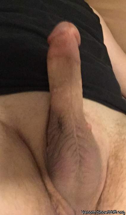 Very impressive Boner you have there