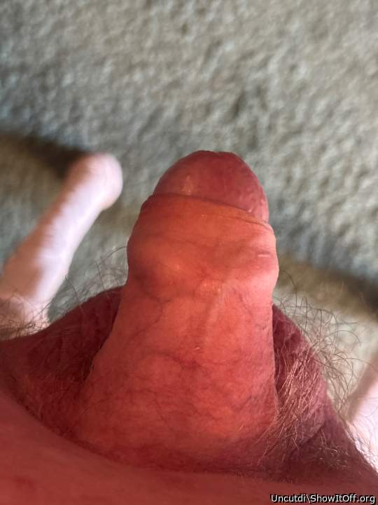 Photo of a drain pipe from Uncutdi