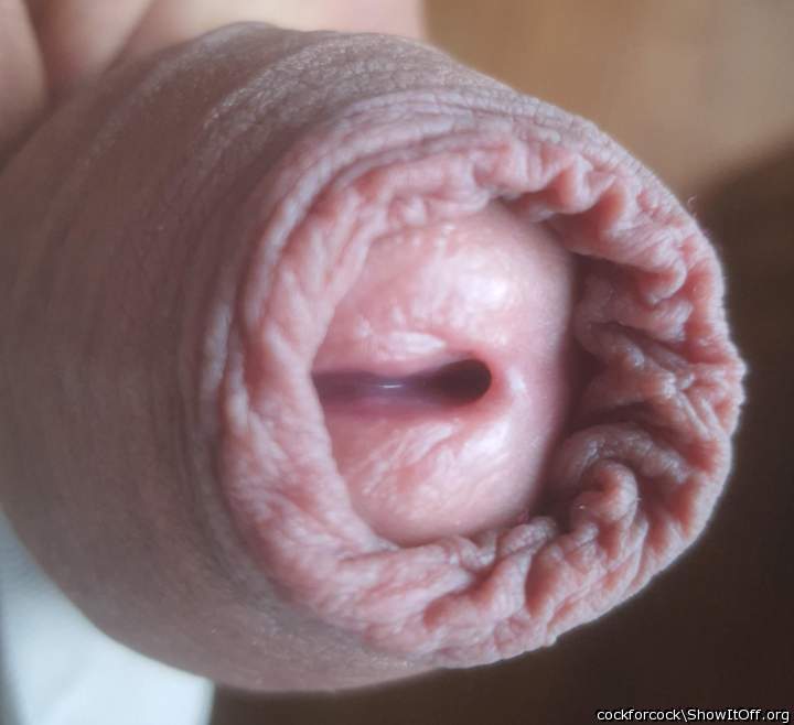 My awesome foreskin to dock with