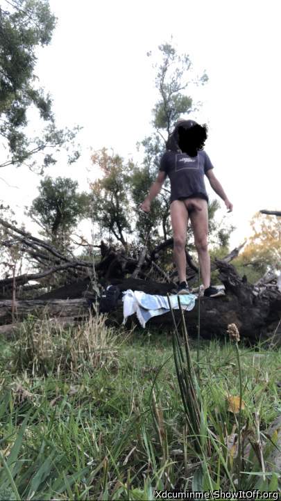 Photo of a penile from Xdcuminme