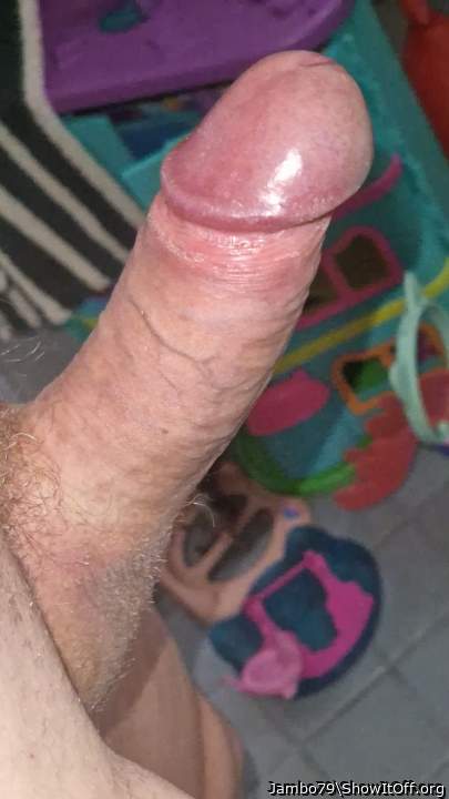 Photo of a cavalier from Jambo79