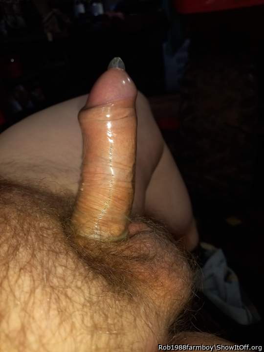 Photo of a lizard from Rob1988farmboy