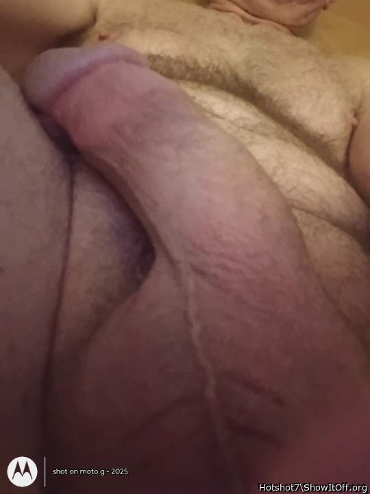 Photo of a lizard from Hotshot7