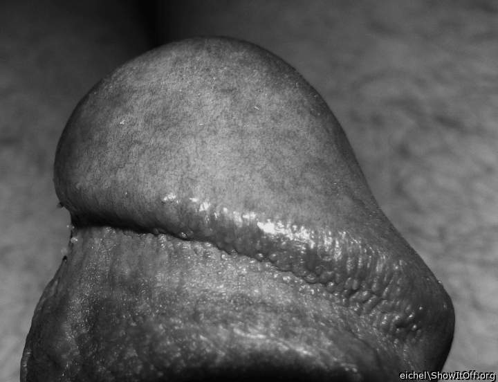 Photo of a love muscle from eichel