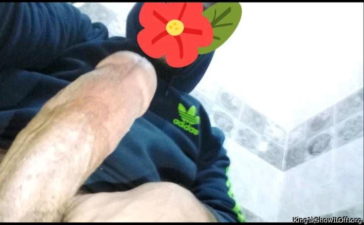 Photo of a short leg from King1