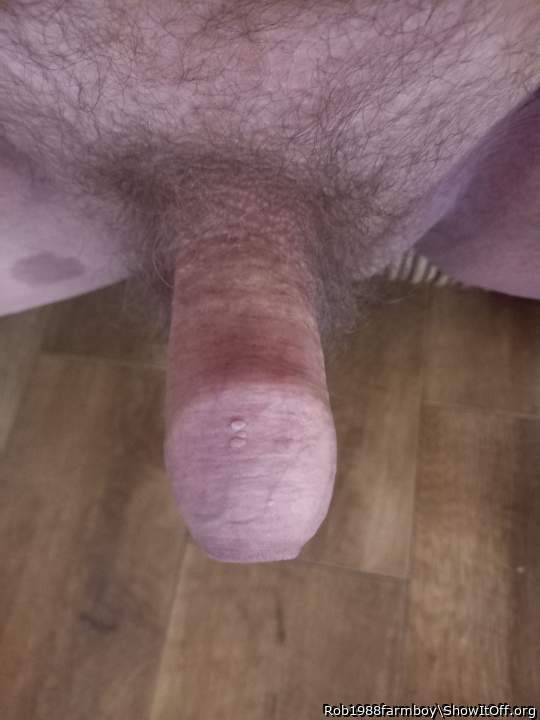 Photo of a hot dog from Rob1988farmboy