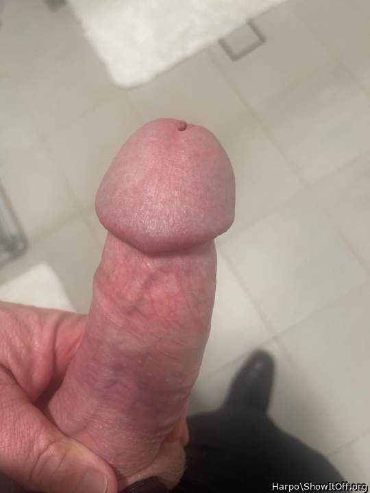 Photo of a snake from Harpo