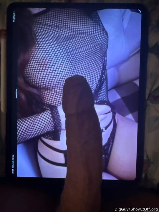 Photo of a stiffie from DigGuy