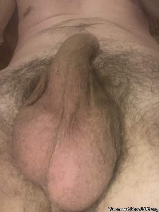 Testicles Photo from Wannasee