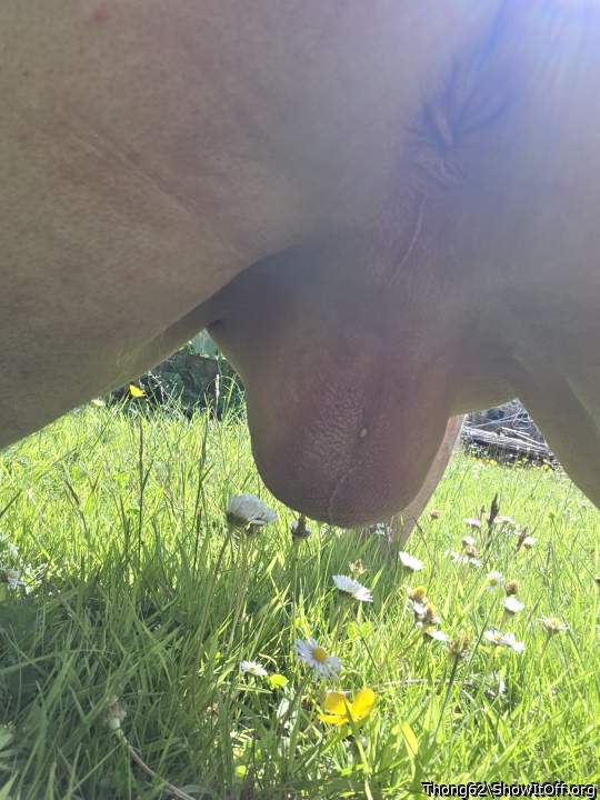 Photo of Man's Ass from Thong62
