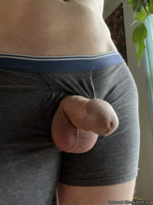 Photo of a short leg from Antonek