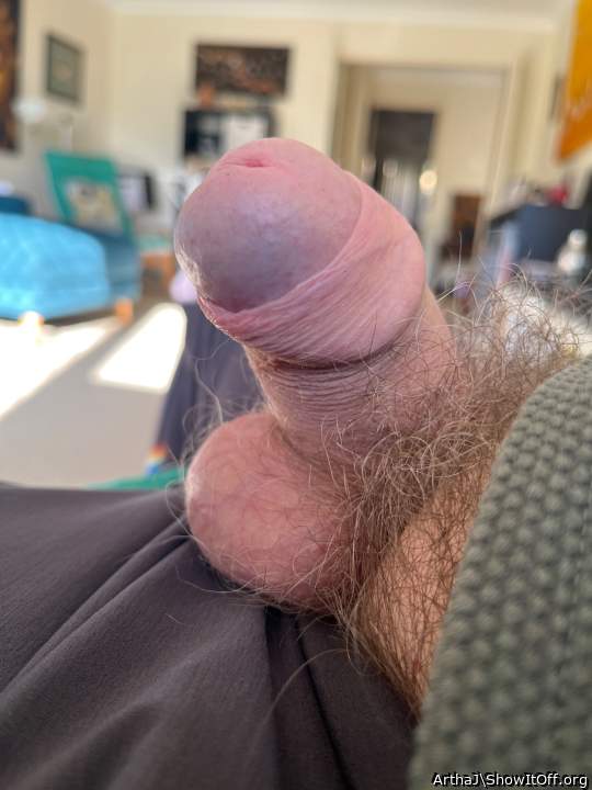 Photo of a sausage from ArthaJ