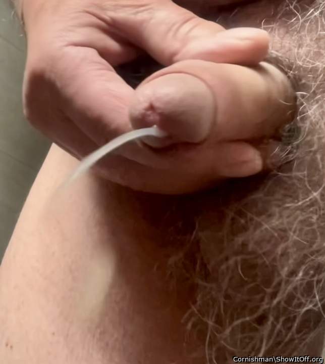 Photo of a private part from Cornishman